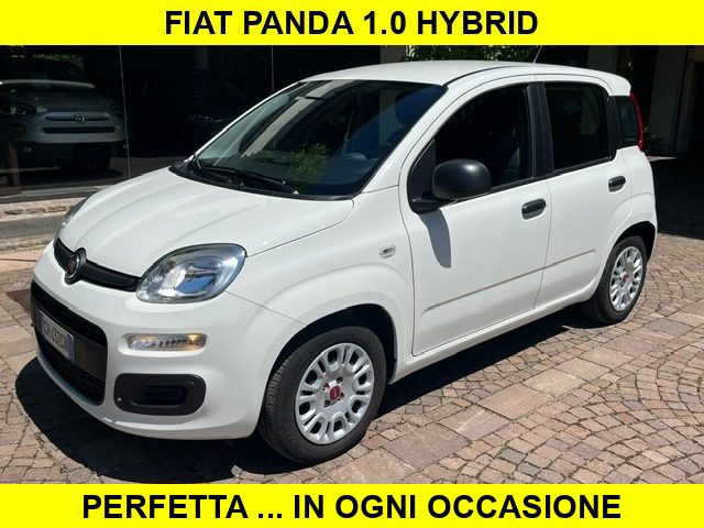 Fiat Panda 1.0 5 Posti Hybrid usato a ROSà