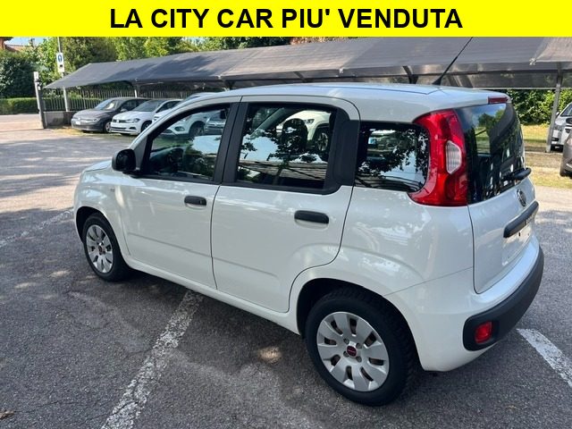 Fiat Panda 1.2 White edition Euro6 - foto 4 di 4