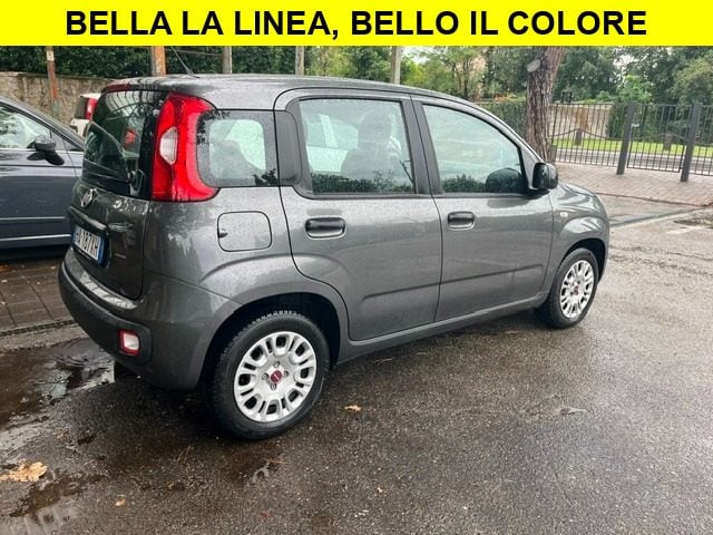 Fiat Panda 1.2 5 Porte Euro6 - foto 2 di 4