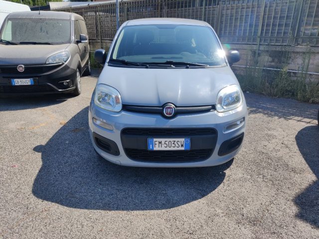Fiat Panda 1.2 Pop usato a ROMA