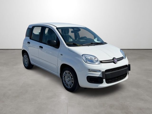 Fiat Pandina 1.0 FireFly 65 CV Hybrid Icon - foto 4 di 4