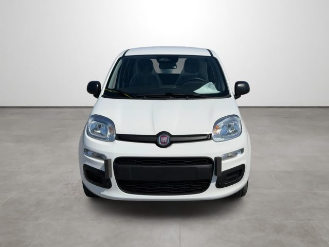Fiat Pandina 1.0 FireFly 65 CV Hybrid Icon - foto 3 di 4