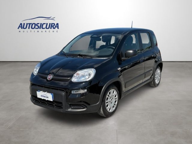 Fiat Panda 1.0 FireFly S&S Hybrid usato a MARSALA