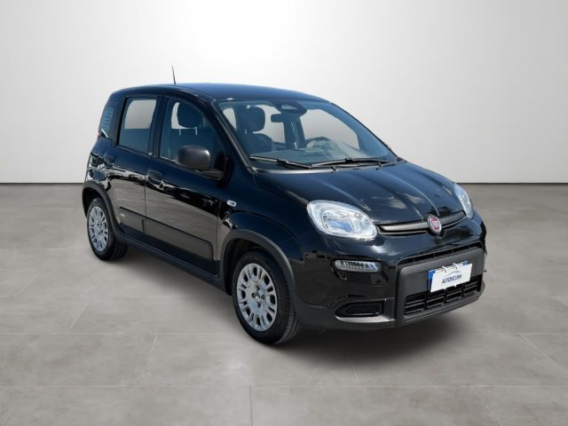 Fiat Panda 1.0 FireFly S&S Hybrid - foto 3 di 4