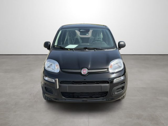 Fiat Pandina 1.0 FireFly 65 CV Hybrid Icon - foto 2 di 4