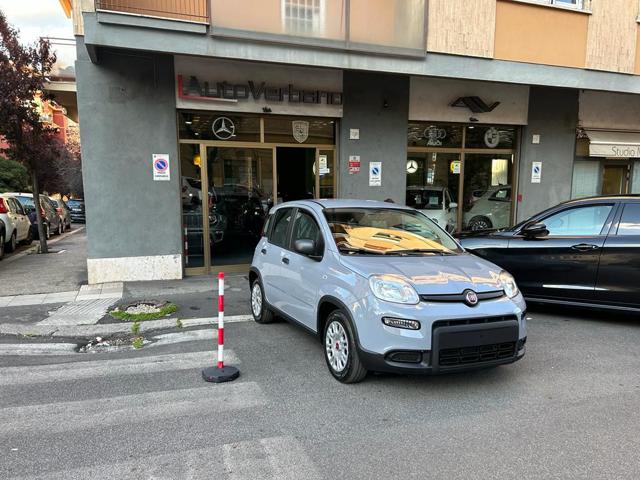 Fiat Panda 1.0 FireFly Hybrid -Pronta Consegna Nuovo Mod - foto 3 di 4