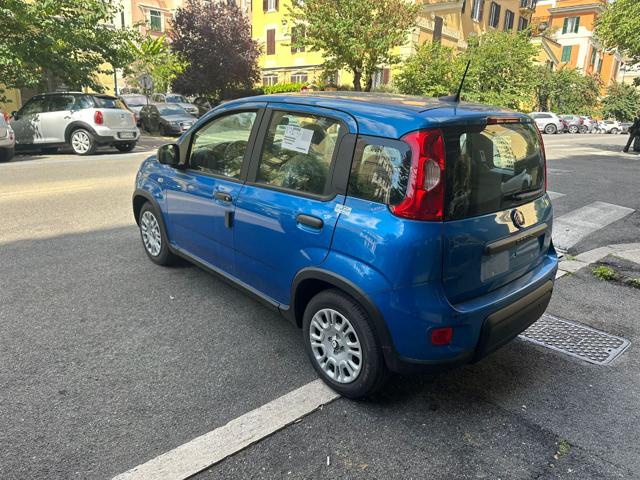 Fiat Panda 1.0 FireFly Hybrid -Pandina Nuovo Mod 2025 - foto 4 di 4