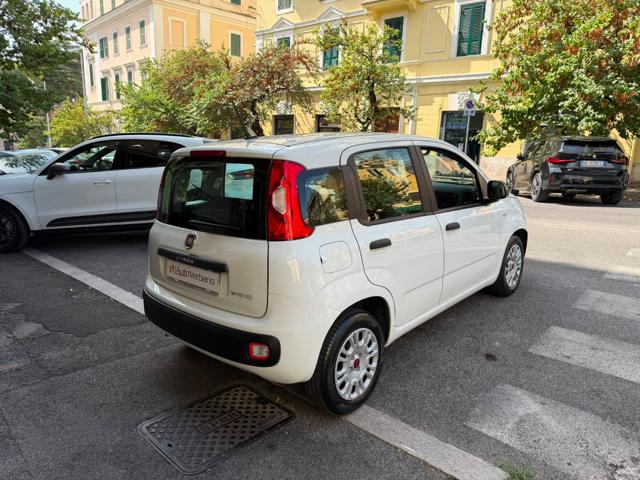 Fiat Panda 1.0 FireFly S&S Hybrid Easy-Nuovissima - foto 3 di 4