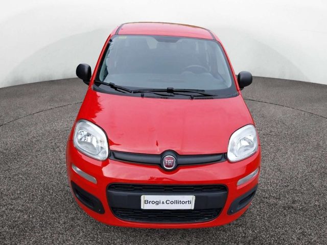 Fiat Panda III 2016 1.2 Easy s&s 69cv my19 - foto 2 di 4