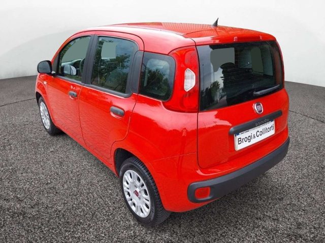 Fiat Panda III 2016 1.2 Easy s&s 69cv my19 - foto 4 di 4