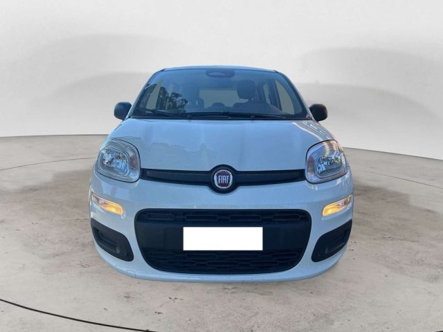 Fiat Panda III 2024 1.0 FireFly Hybrid 70cv Icon S&S 5p.ti - foto 2 di 4