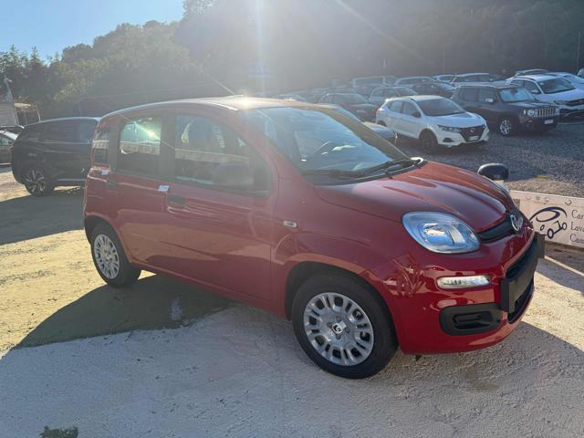 Fiat Panda 1.0 FireFly S&S Hybrid Icon, in vendita a Teano (CE)