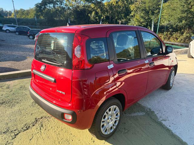 Fiat Panda 1.0 FireFly S&S Hybrid Icon - foto 3 di 4