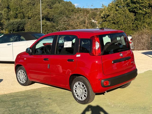 Fiat Panda 1.0 FireFly S&S Hybrid Icon - foto 4 di 4