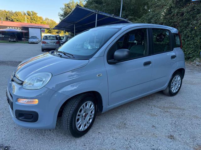 Fiat Panda 1.2 Easy - foto 3 di 4