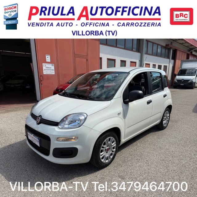 Fiat Panda 1.0 FireFly Hybrid PREZZO REALE usato a VILLORBA