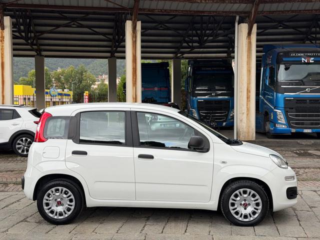 Fiat Panda 1.0 FireFly S&S Hybrid - foto 4 di 4