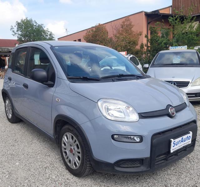 Fiat Panda 1.0 FireFly S&S Hybrid - foto 4 di 4