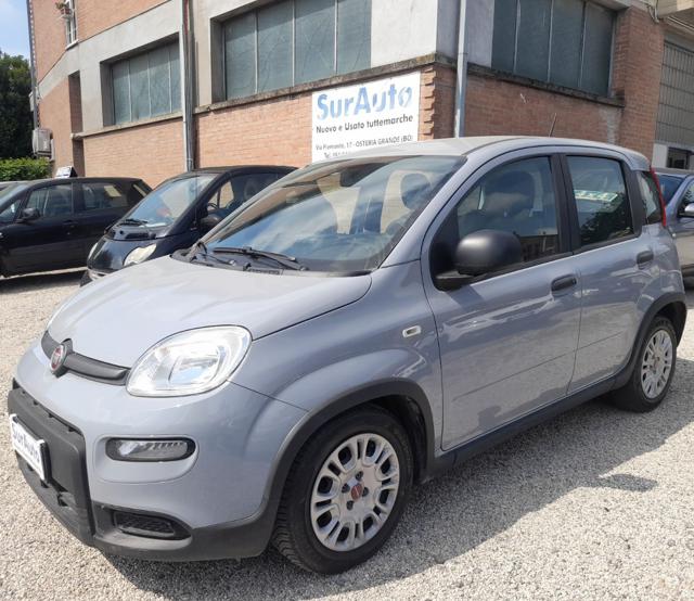 Fiat Panda 1.0 FireFly S&S Hybrid - foto 3 di 4