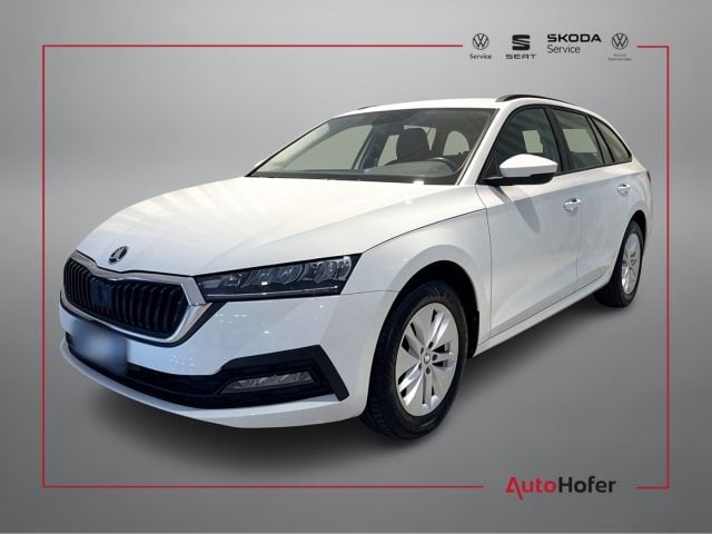 Skoda Octavia 2.0 TDI DSG Wagon Executive LED ACC DAB+, del 2024, 39.950 km, in vendita a Chiusa (BZ)