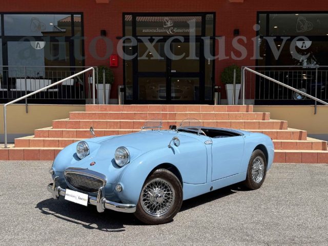 Austin Healey Sprite Frogeye - COMPLETAMENTE RESTAURATA usato a PISTOIA