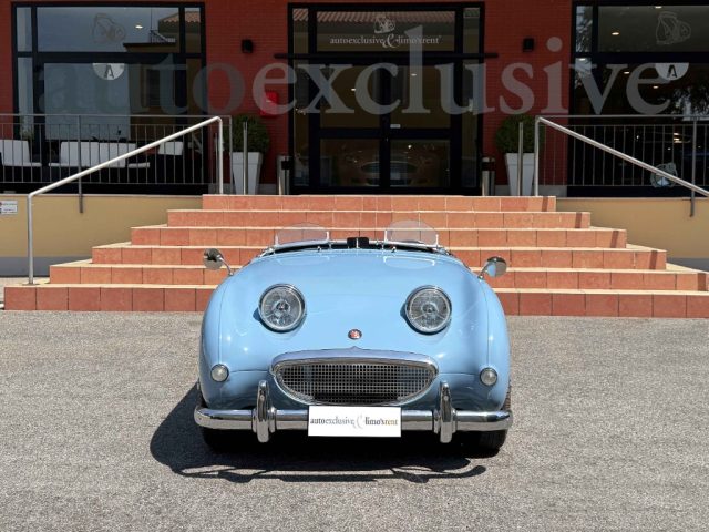 Austin Healey Sprite Frogeye - COMPLETAMENTE RESTAURATA - foto 4 di 4