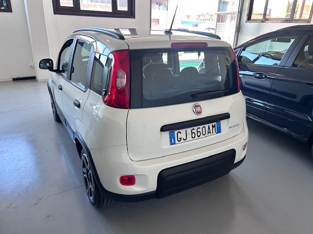 Fiat Panda 1.0 FireFly S&S Hybrid City Life, del 2022, 43.000 km, in vendita a Grosseto (GR)