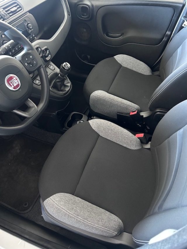 Fiat Panda 1.0 FireFly S&S Hybrid City Life usato a GROSSETO