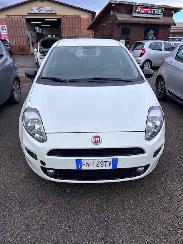 Fiat Punto 1.3 MJT II S&S 95 CV 5 porte Street usato a GROSSETO
