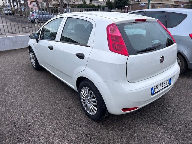 Fiat Punto 1.3 MJT II S&S 95 CV 5 porte Street usato a GROSSETO
