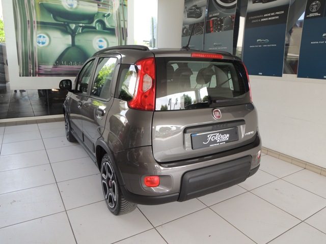 Fiat Panda 1.0 FireFly S&S Hybrid City Life - foto 3 di 4
