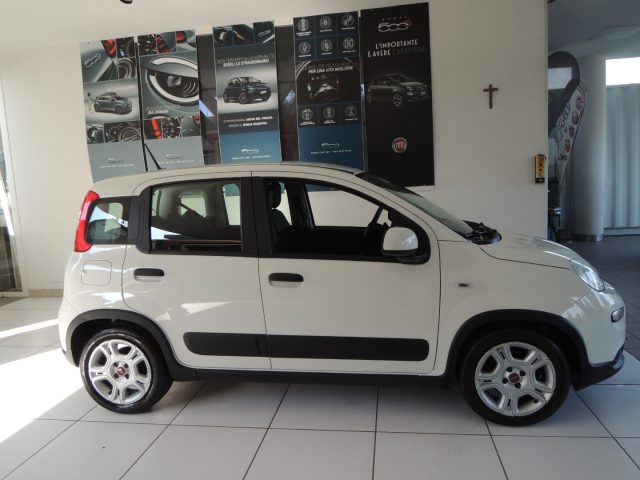 Fiat Panda 1.0 FireFly S&S Hybrid City Life - foto 3 di 4