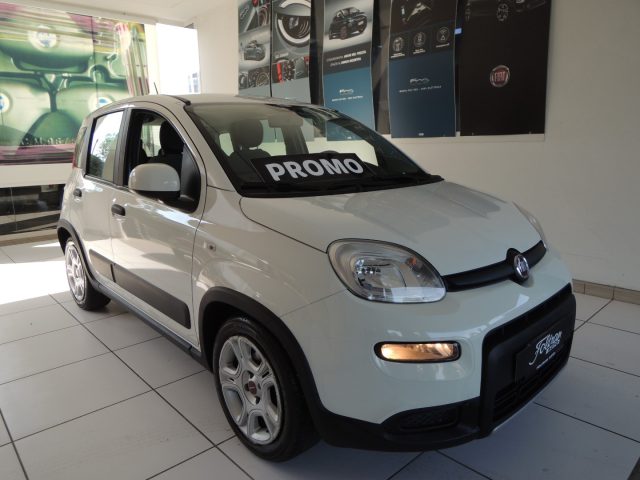 Fiat Panda 1.0 FireFly S&S Hybrid City Life usato a VENEZIA