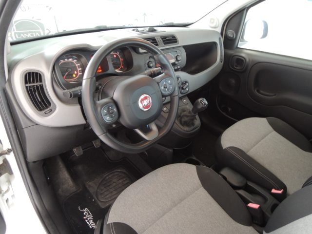 Fiat Panda 1.3 MJT 95 CV S&S Lounge usato a VENEZIA