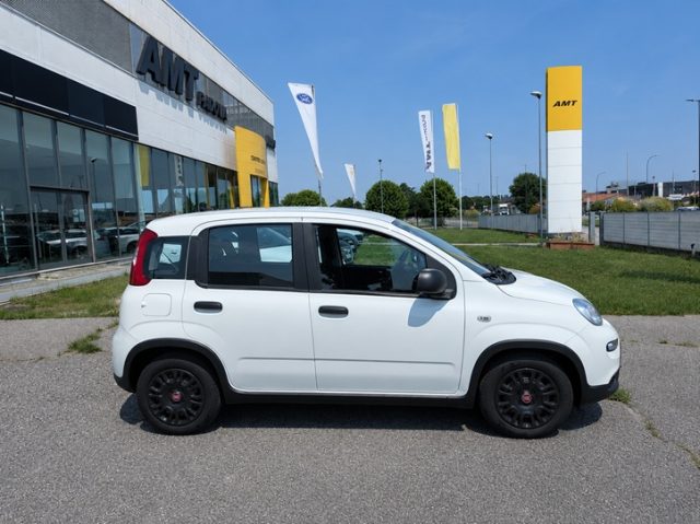 Fiat Panda 1.0 FireFly S&S Hybrid - foto 3 di 4