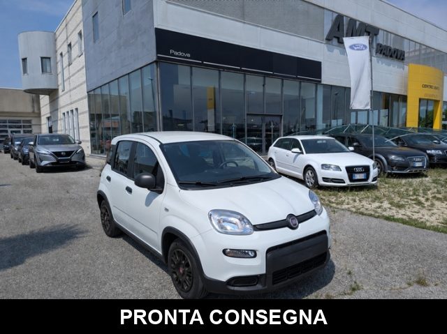 Fiat Panda 1.0 FireFly S&S Hybrid usato a LIMENA