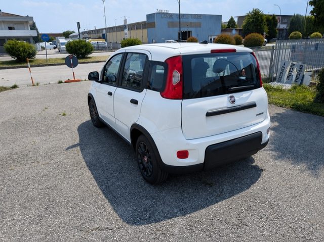 Fiat Panda 1.0 FireFly S&S Hybrid - foto 4 di 4