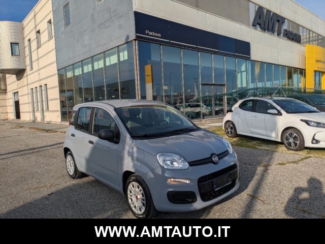 Fiat Panda 1.0 FireFly S&S Hybrid usato a LIMENA