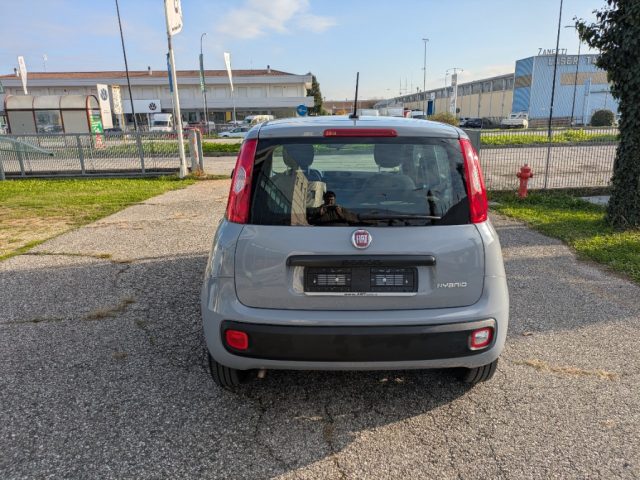 Fiat Panda 1.0 FireFly S&S Hybrid - foto 4 di 4