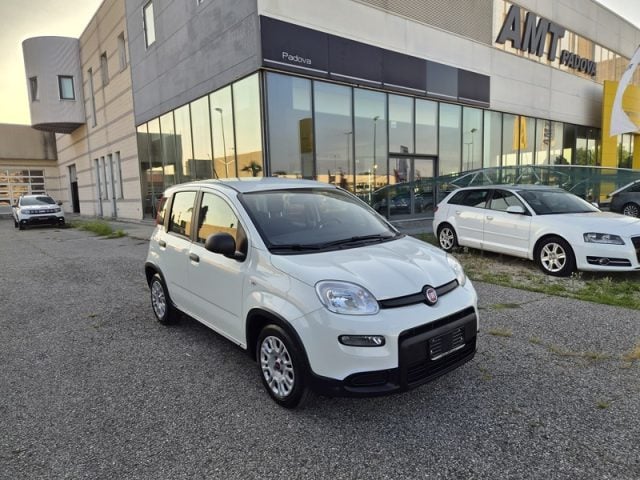 Fiat Panda 1.0 FireFly S&S Hybrid, del 2024, 23.000 km, in vendita a Limena (PD)