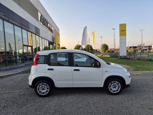 Fiat Panda 1.0 FireFly S&S Hybrid - foto 4 di 4