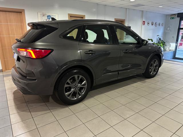 Ford Kuga 1.5 EcoBlue 120 CV 2WD ST-Line - foto 4 di 4
