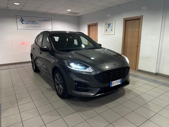 Ford Kuga 1.5 EcoBlue 120 CV 2WD ST-Line usato a SAN GIORGIO IONICO