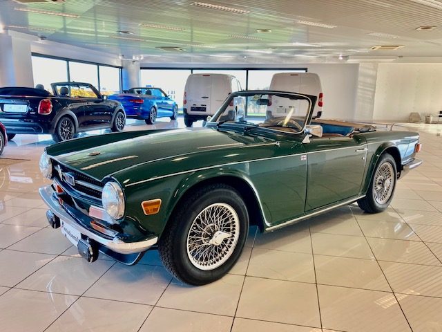 Triumph TR6 P 1 ASI !! CRS !! Overdrive !! PERFETTA !! - foto 3 di 4