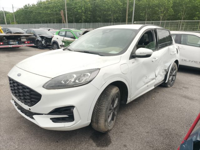 Ford Kuga 2.5 Full Hybrid 190 CV CVT 2WD ST-Line - foto 1 di 4