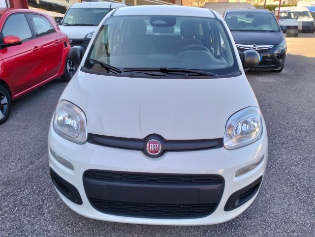 Fiat Panda 1.0 FireFly S&S Hybrid - foto 2 di 4