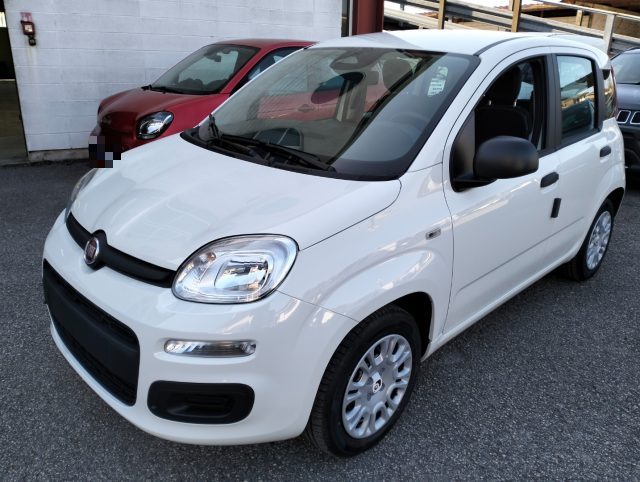 Fiat Panda 1.0 FireFly S&S Hybrid km 0 a CAMISANO VICENTINO
