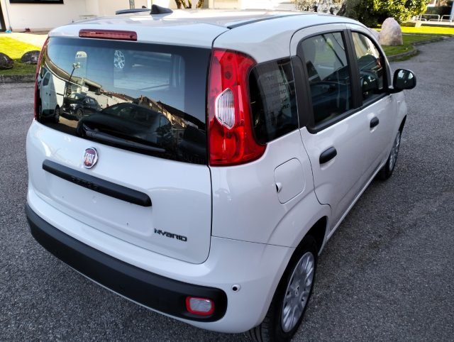 Fiat Panda 1.0 FireFly S&S Hybrid - foto 4 di 4