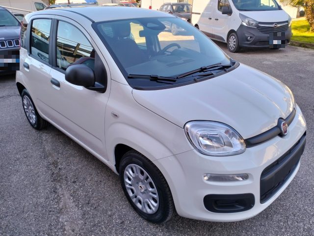 Fiat Panda 1.0 FireFly S&S Hybrid - foto 3 di 4