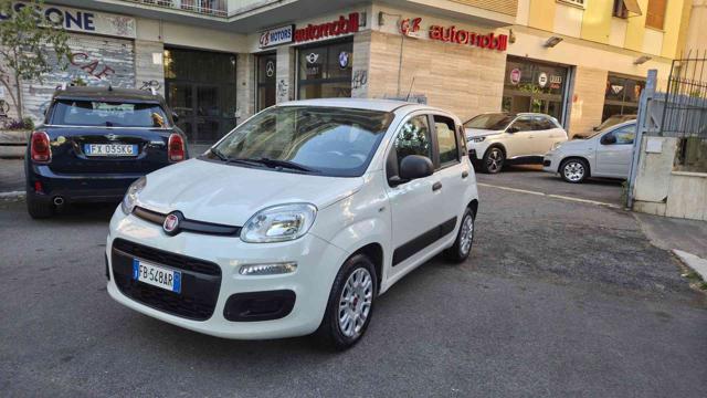 Fiat Panda 1.2 Lounge usato a ROMA